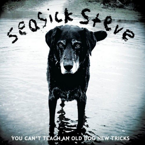 SEASICK STEVE - YOU CAN'T TEACH AN OLD..SEASICK STEVE YOU CANT TEACH AN OL DOG.jpg